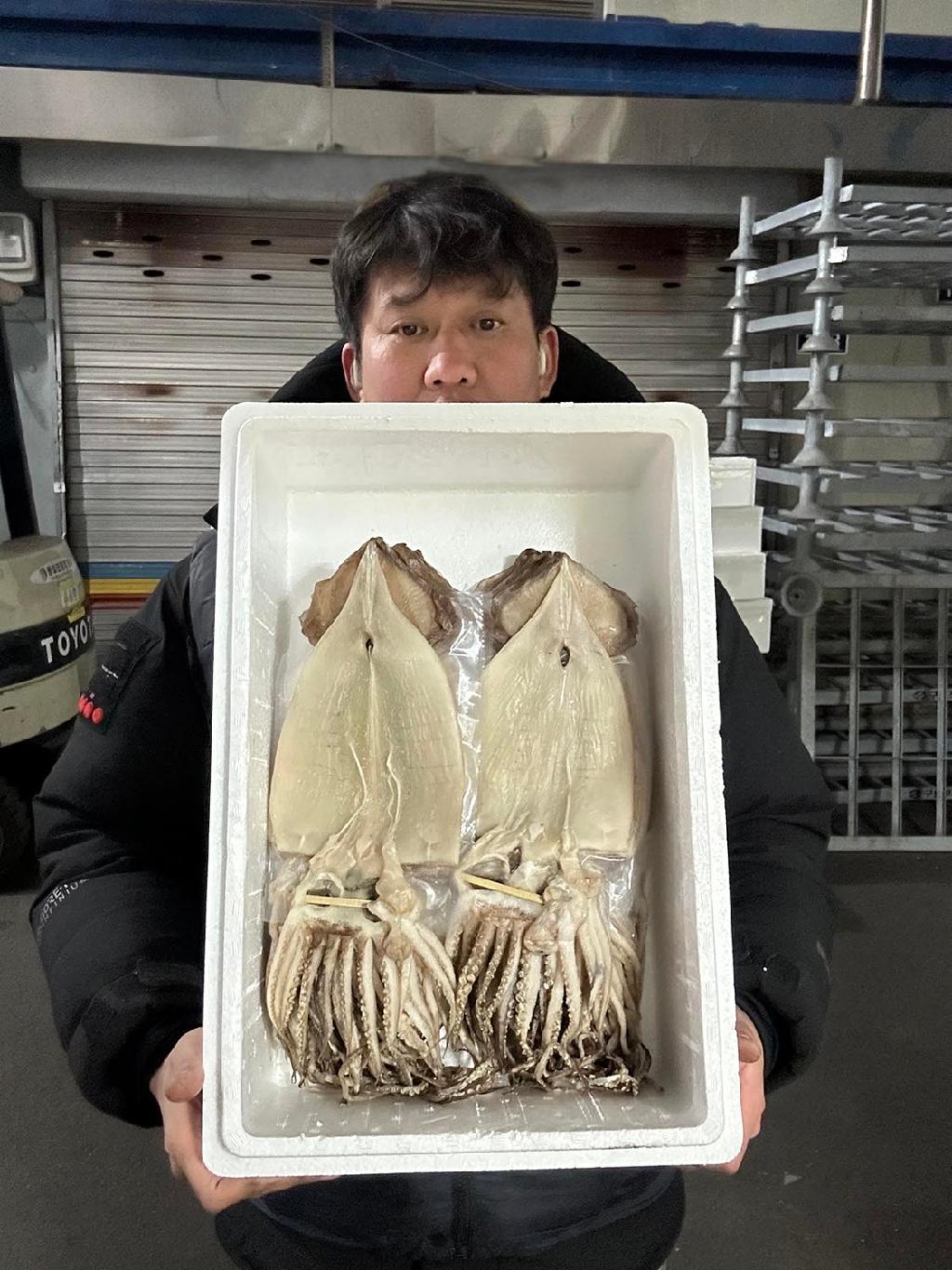 🎁반건조오징어피데기원양산(20마리특대1.4g~1.5kg)