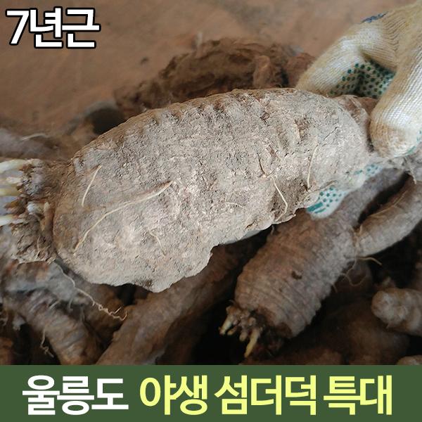 섬더덕 울릉도더덕 야생 자연산 자생 7년근 특대 3kg